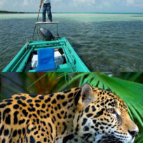 Travel Package