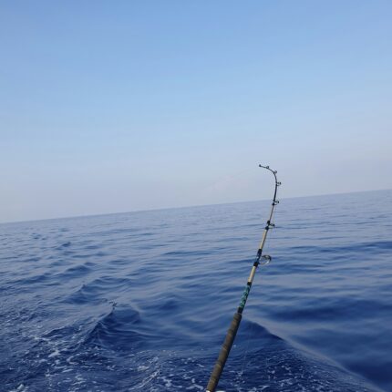 Deep Sea Fishing