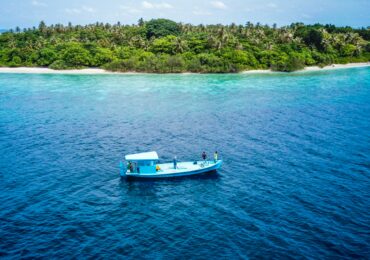 mohamed-sameeh-wgSgpiraYs4-unsplash