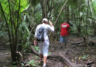 monkey-river-tour