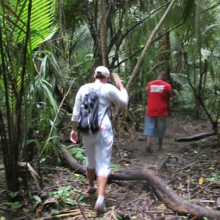 Monkey River Jungle Tour