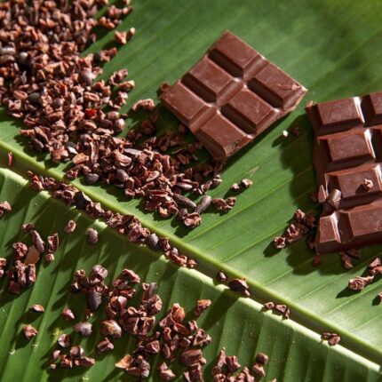 Spice Farm, Mayan Chocolate & Mayan Ruins