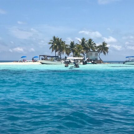 Silk Cayes & Turtle Ray Alley – A Snorkeling & Diving Haven
