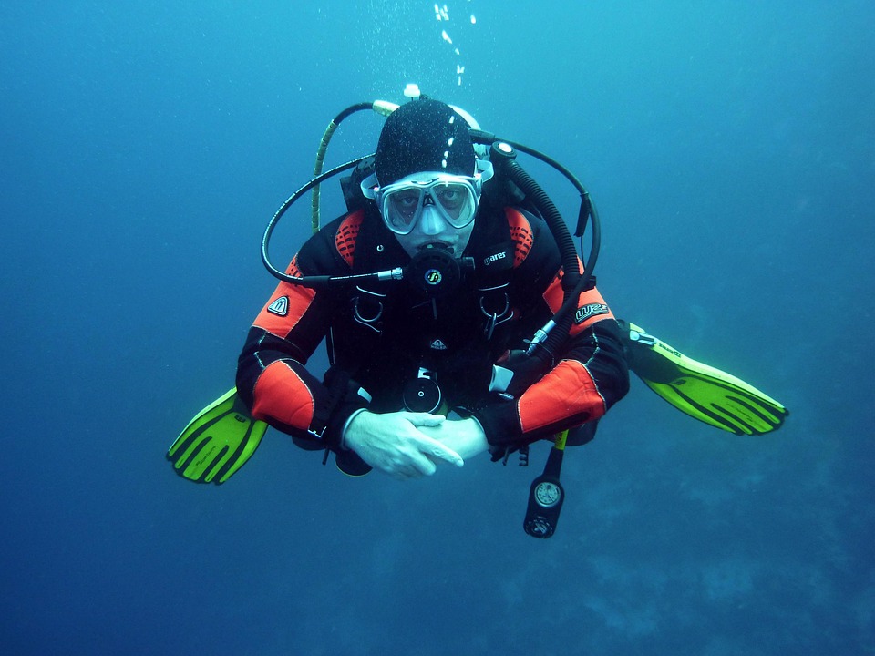 Dive Into Adventure: Exploring the Best Marine Tours Around the World