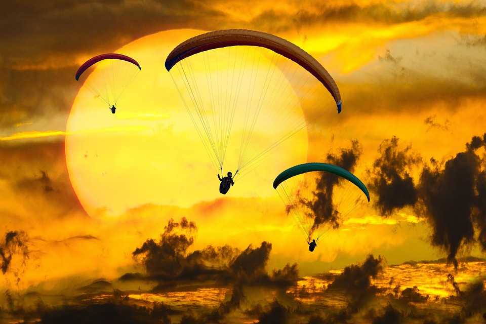 Soar Through the Canopy: Exploring the Thrills of Jungle Zip Lining