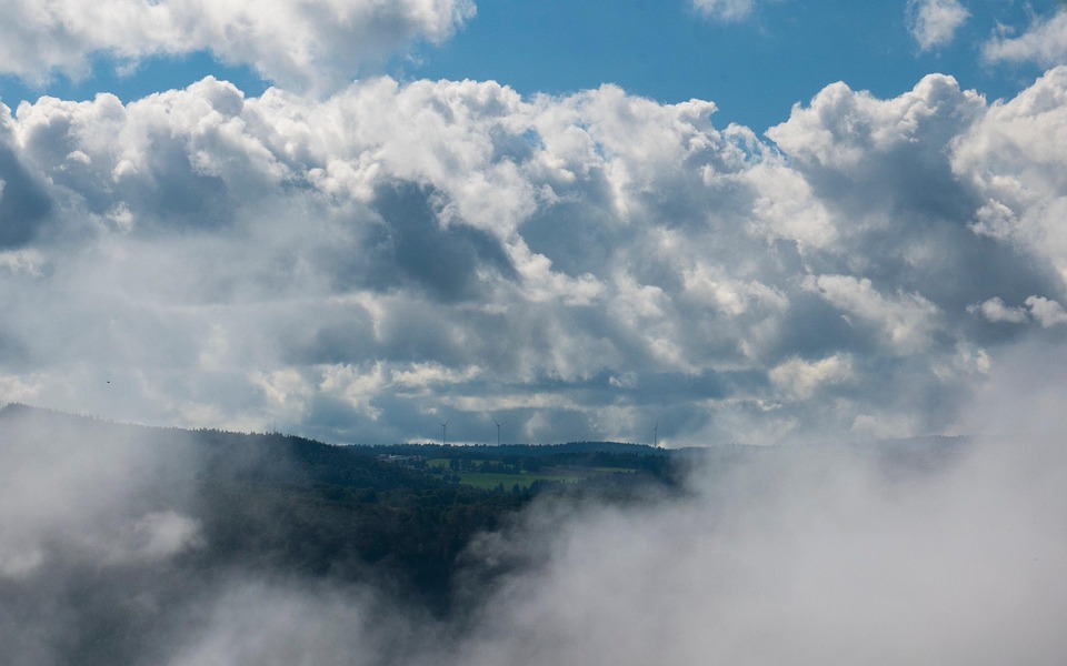 Unveiling the Canopy: Adventures in Rainforest Exploration